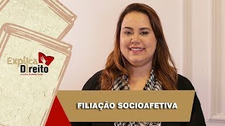 Explica Direito Filiação Socioafetiva  2019 [upl. by Serdna]