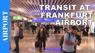 TRANSIT WALK AT FRANKFURT Airport FRA Terminal 1  Connection Flight Transfer Arriving amp Departing [upl. by Eeluj327]